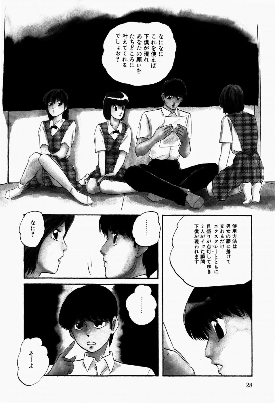 ファンシーツール Page.30