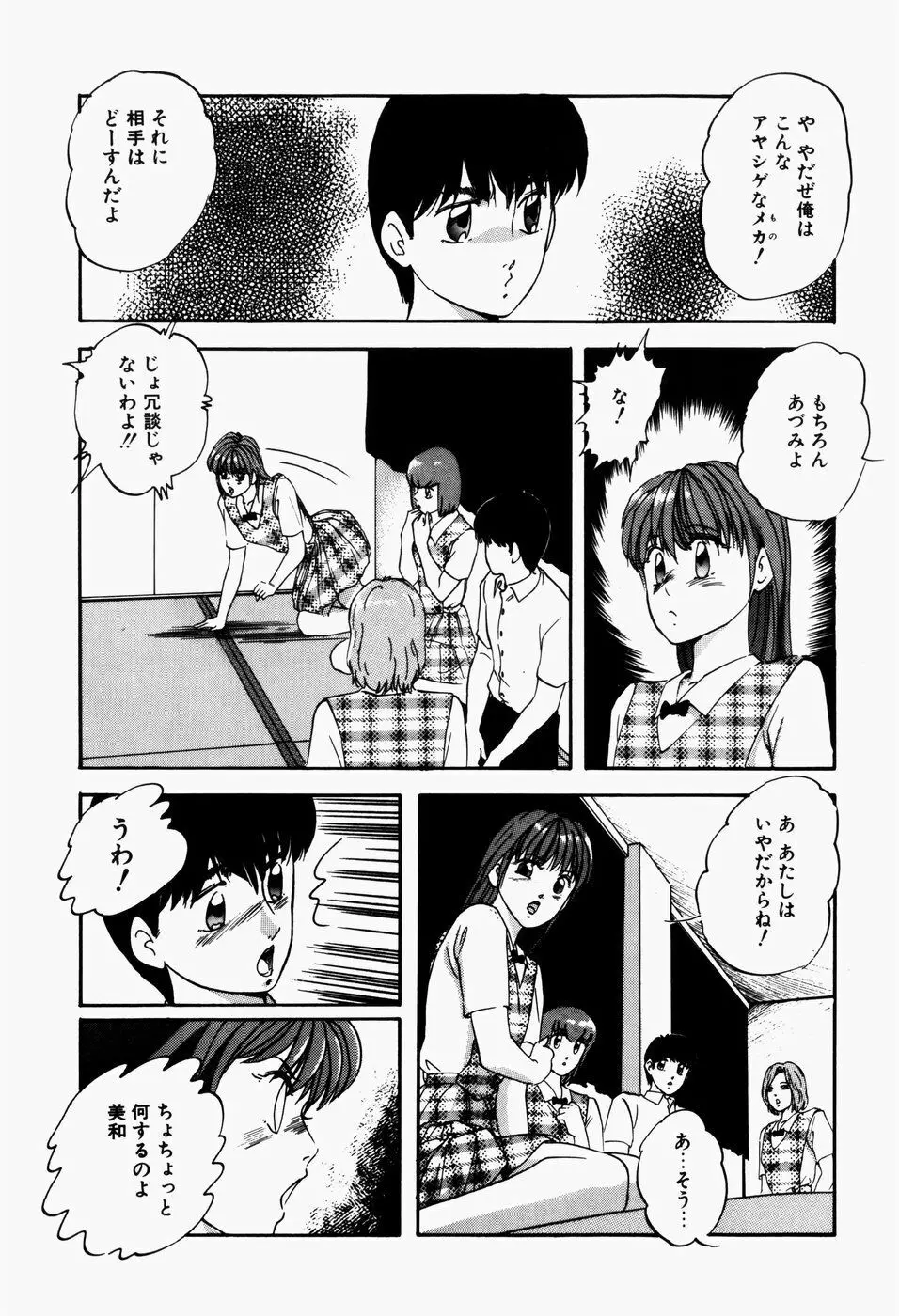 ファンシーツール Page.31