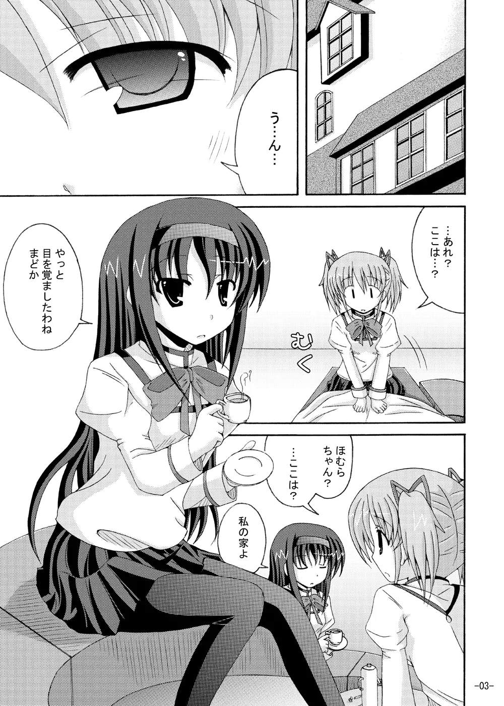 ほむほむの暴走 Page.2