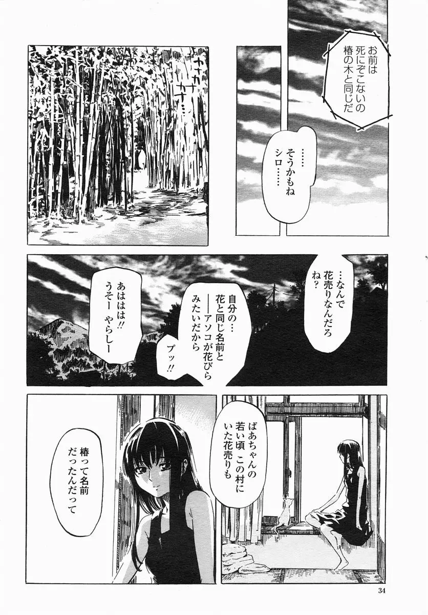 COMIC ヒメザクラ 2005年4月号 vol.4 Page.36