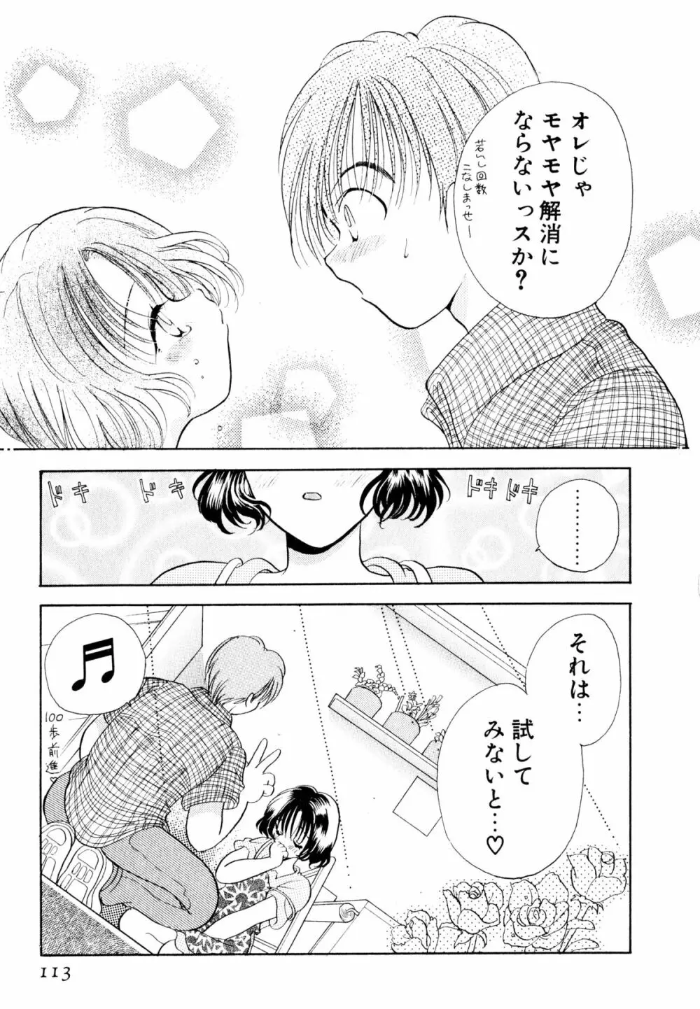 オレンジ色の花 Page.116