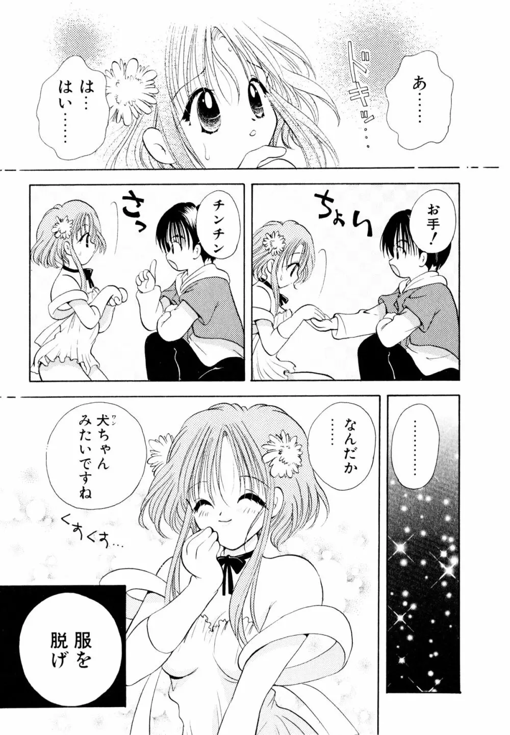 オレンジ色の花 Page.158