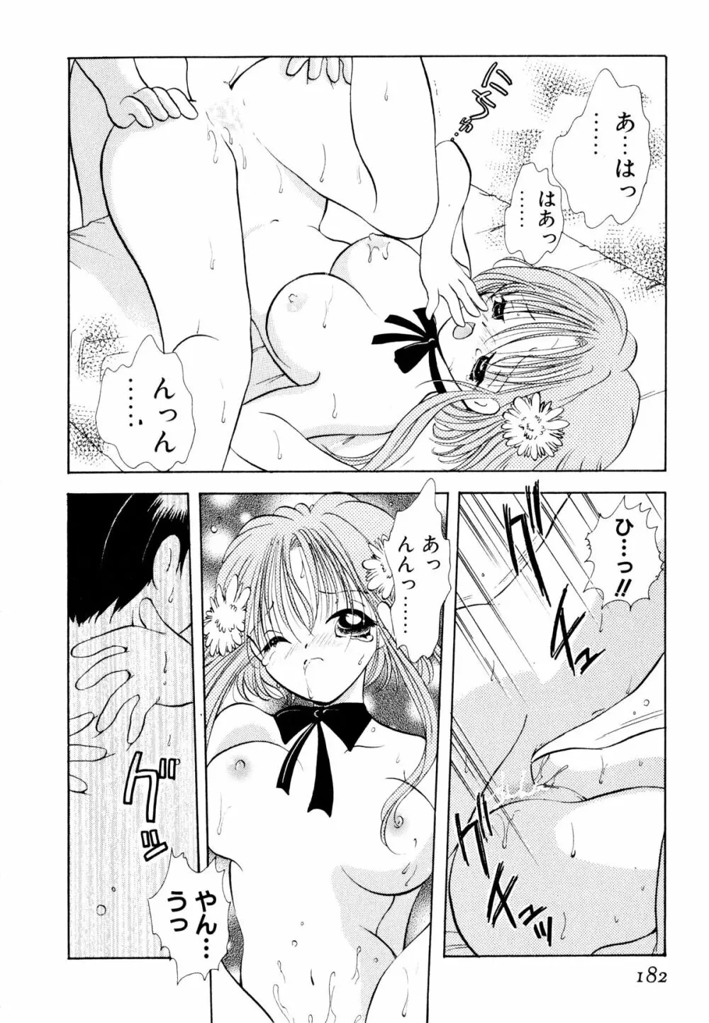 オレンジ色の花 Page.185