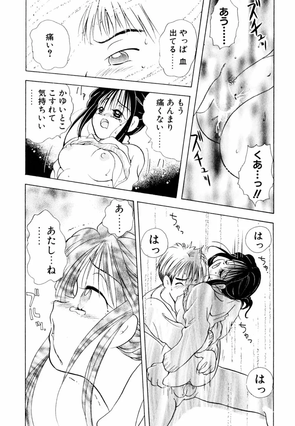 オレンジ色の花 Page.67