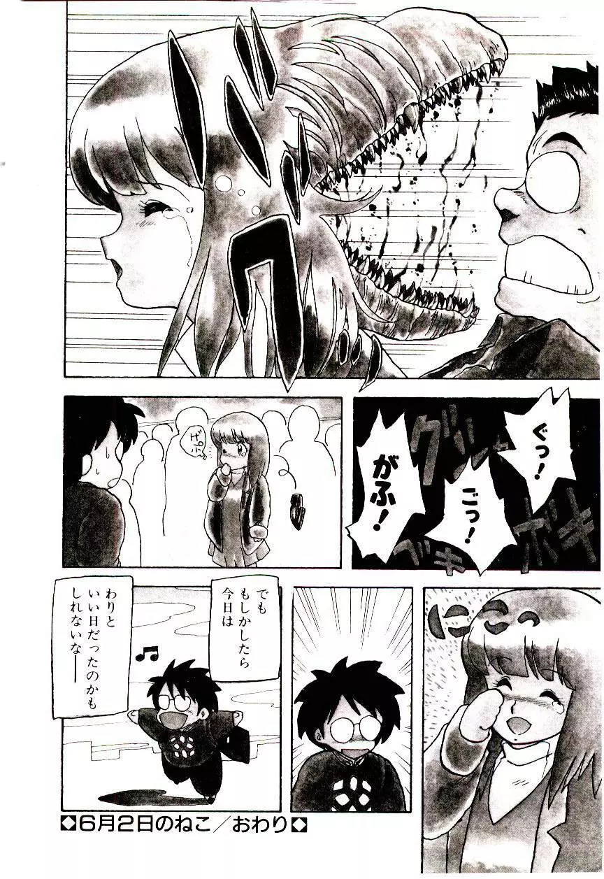 マテリアル レディ Page.177