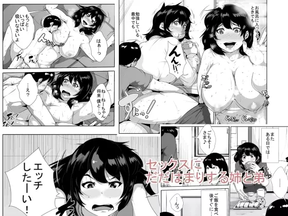 セックスにだだはまりする姉と弟 Page.1