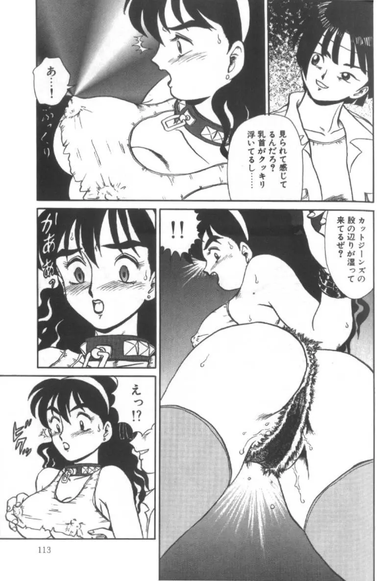 堕淫天女 Page.113