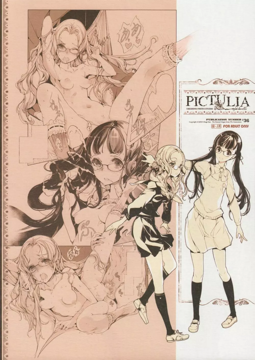 pictulia + 4Pリーフレット Page.2