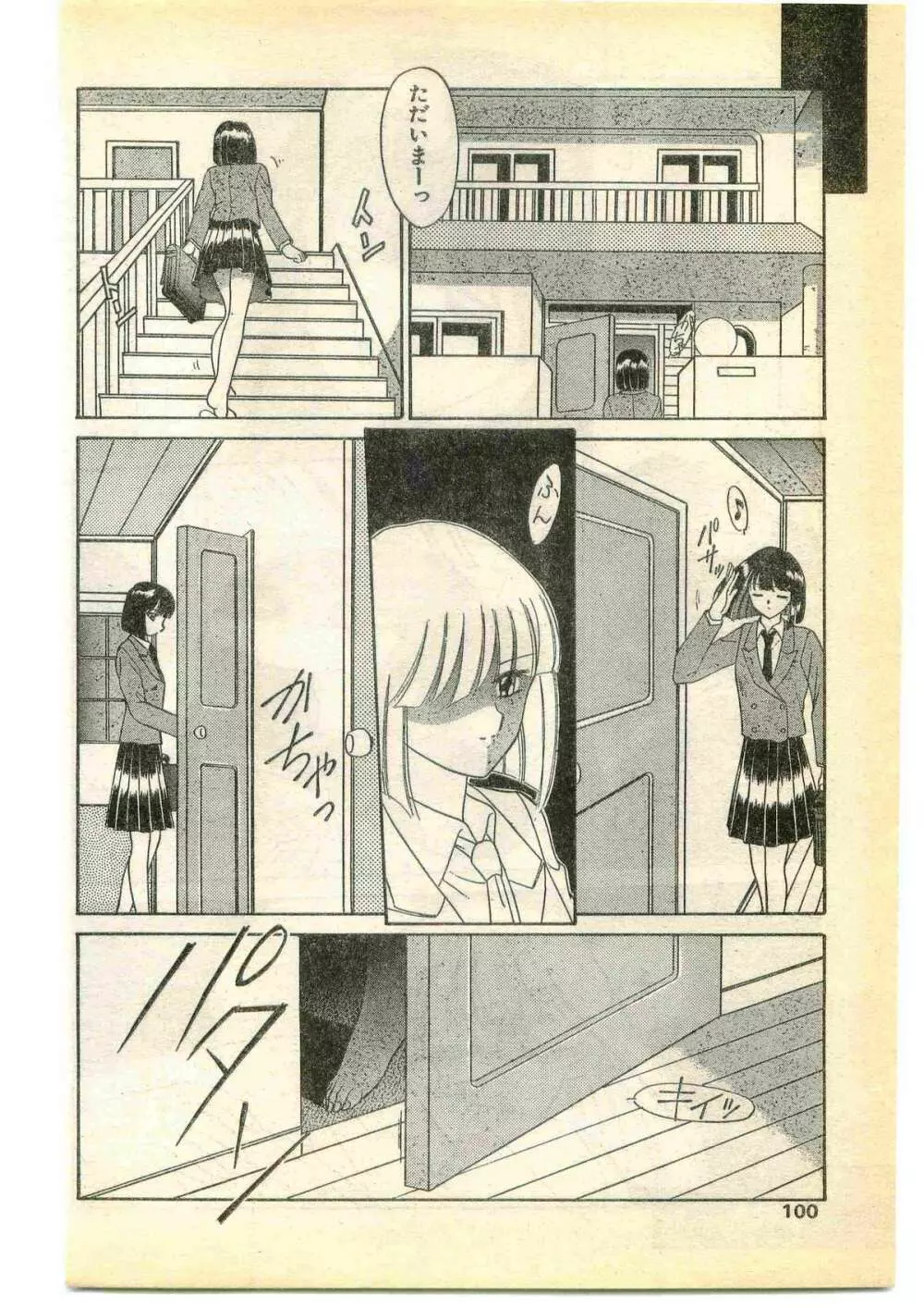 COMIC パピポ外伝 1995年5月号 Page.100