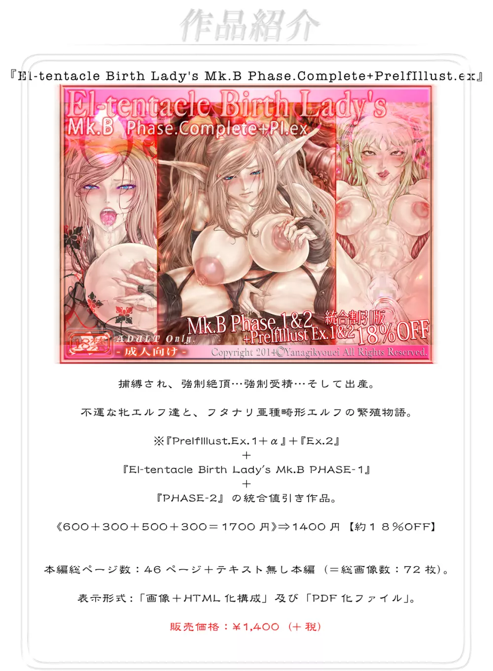 [光華猟兵 (梁魏僑叡)] El-tentacle Birth Lady’s Mk.B PHASE-3【前】 [DL版] Page.26