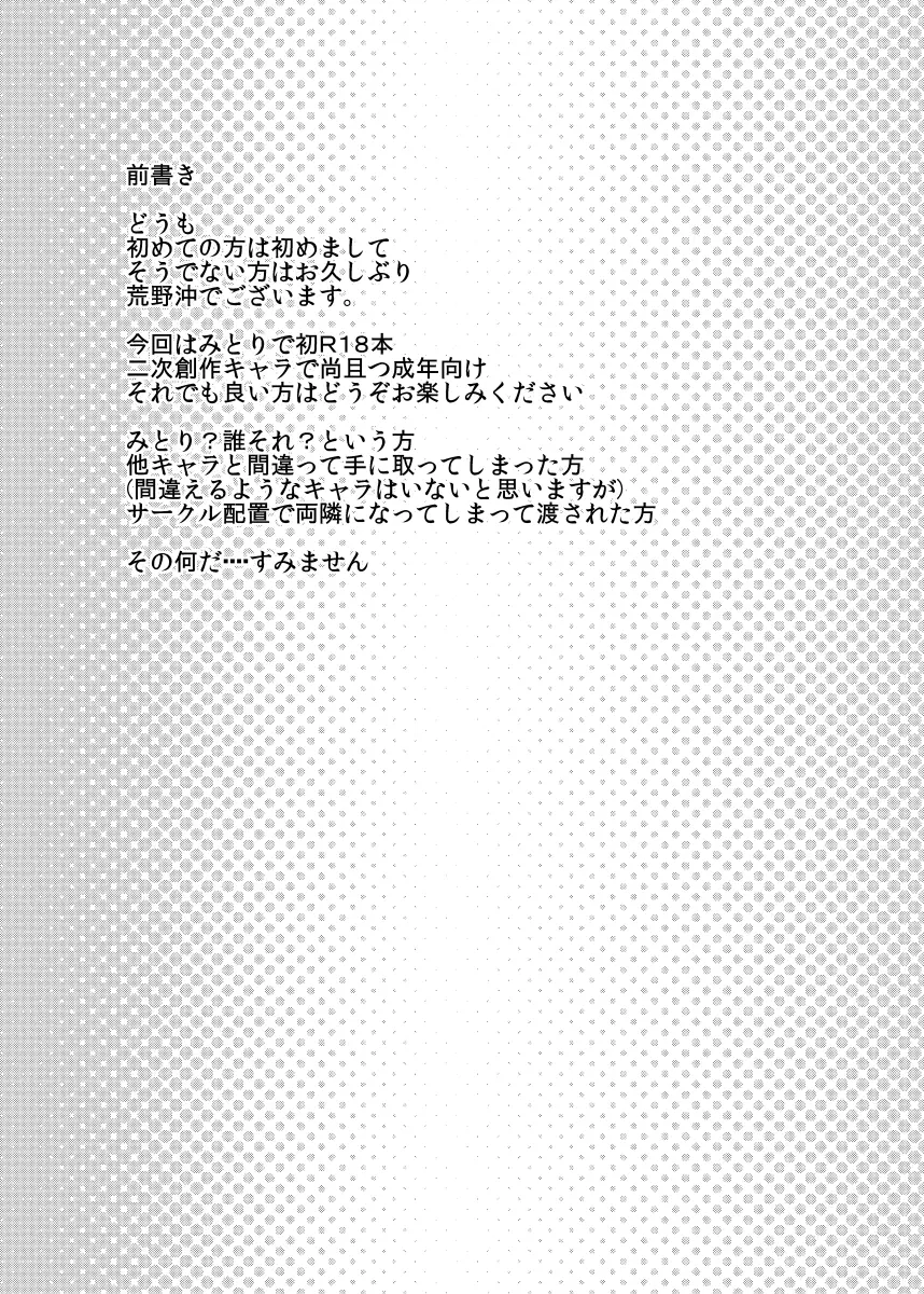 前に出したみとり本 Page.3