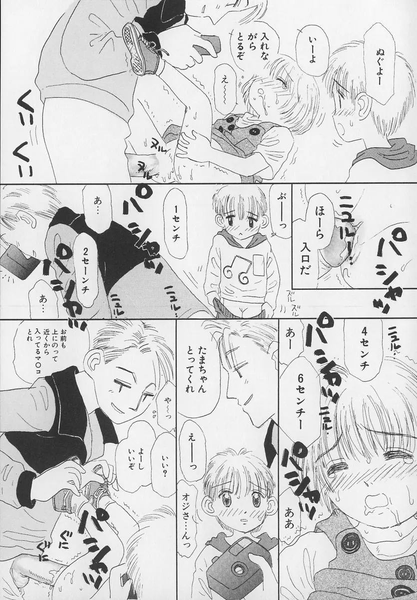 Marron Parfait Page.35