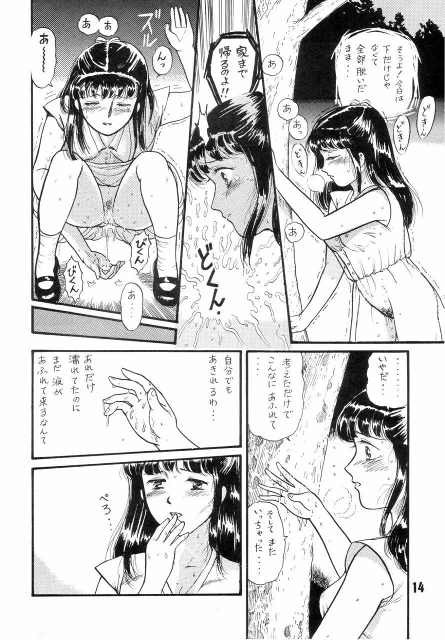 夏の夜は三たび微笑む Page.13