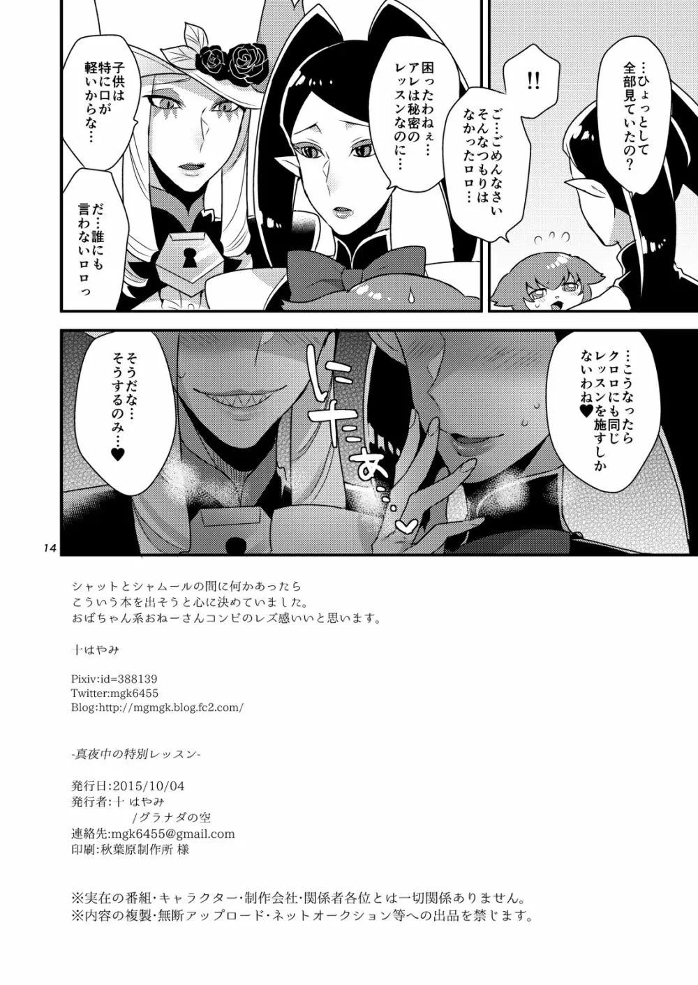 真夜中の特別レッスン Page.13