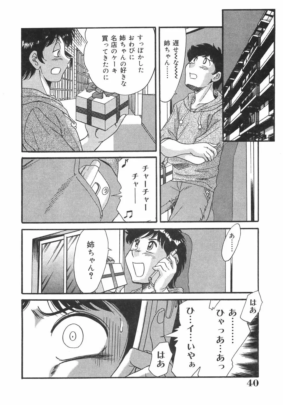 おねーさん巨乳肉欲奴隷 Page.41