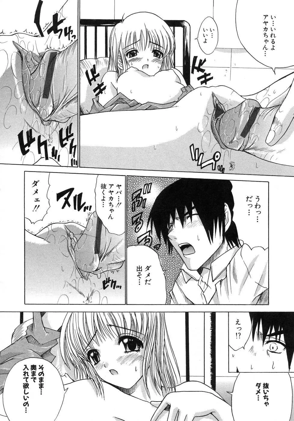 青葉木菟 Page.144