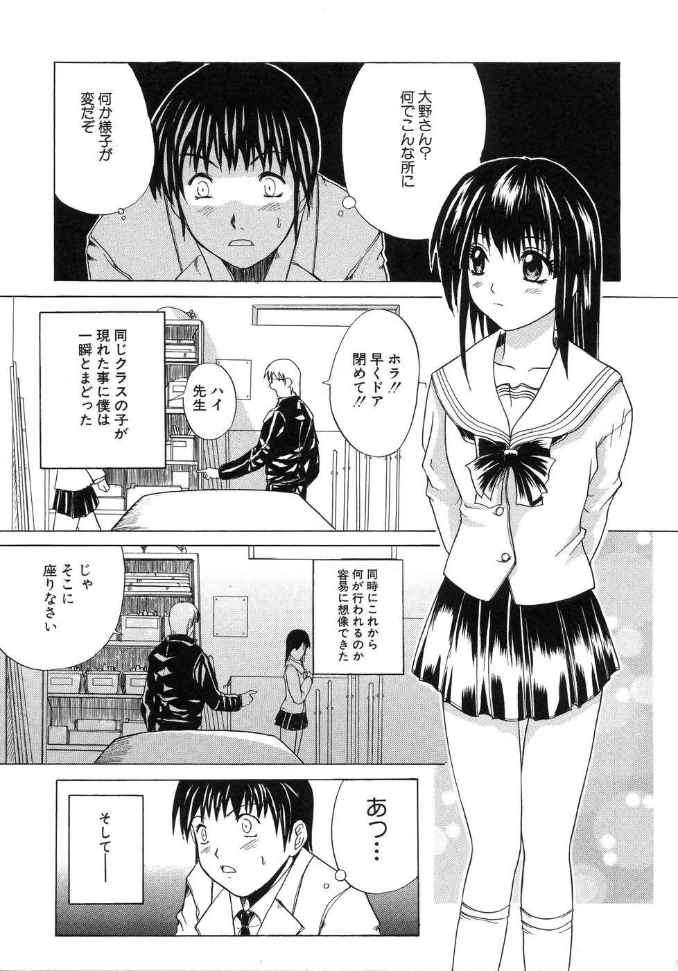 青葉木菟 Page.29