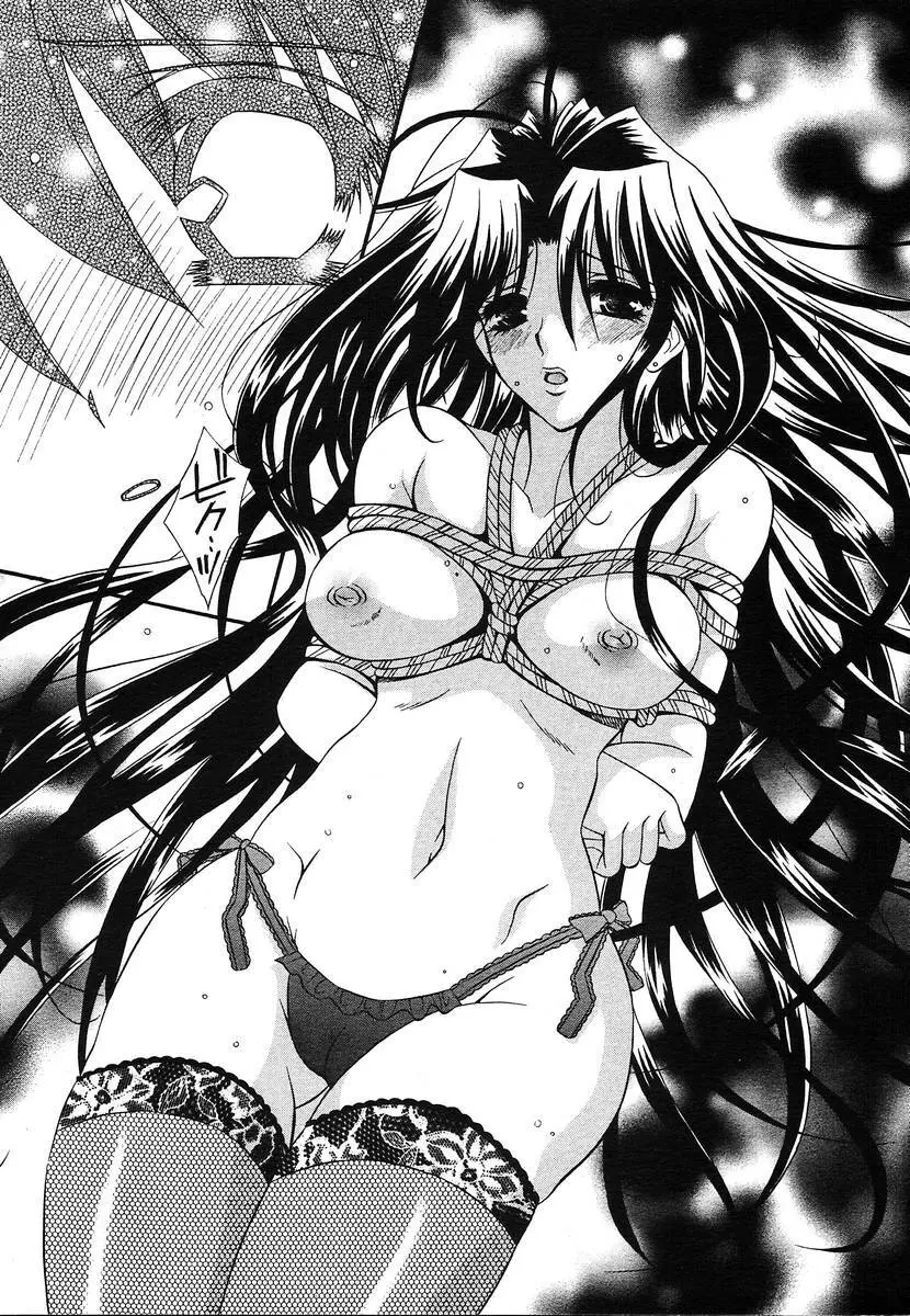 Comic Megaplus Vol.08 Page.217