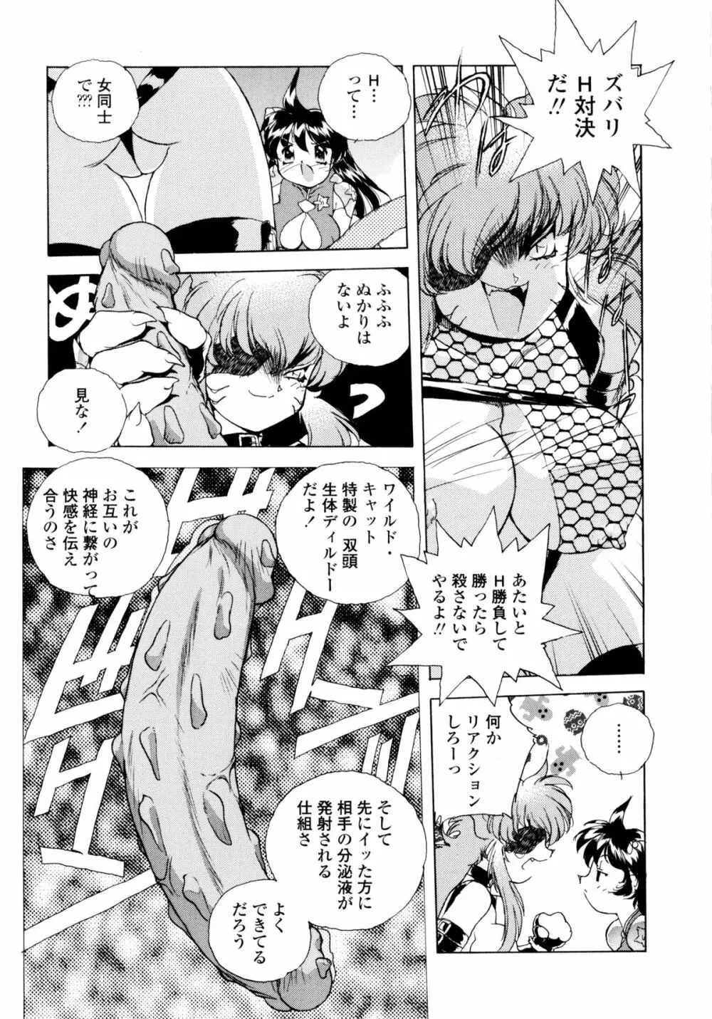 ワイルドキャットパイレーツ Page.14