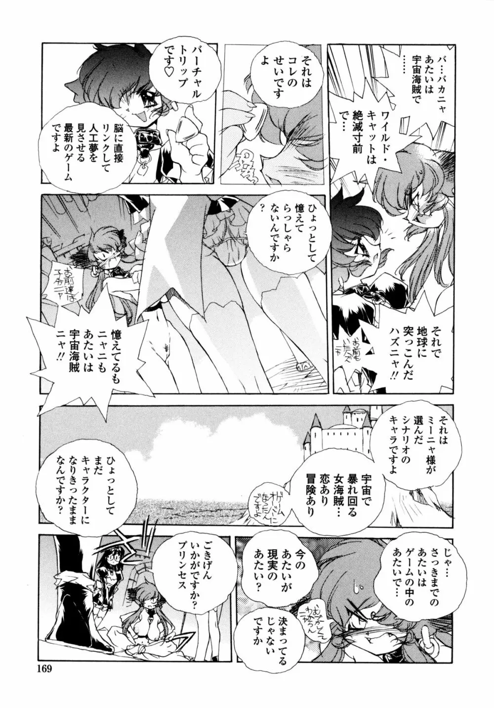 ワイルドキャットパイレーツ Page.167