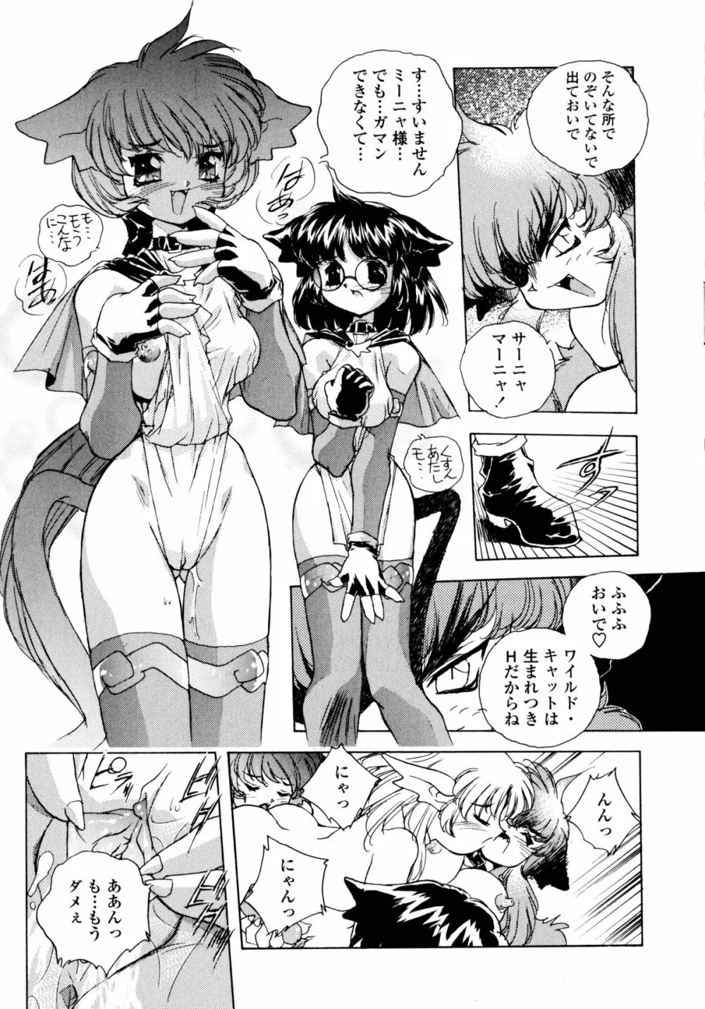 ワイルドキャットパイレーツ Page.30