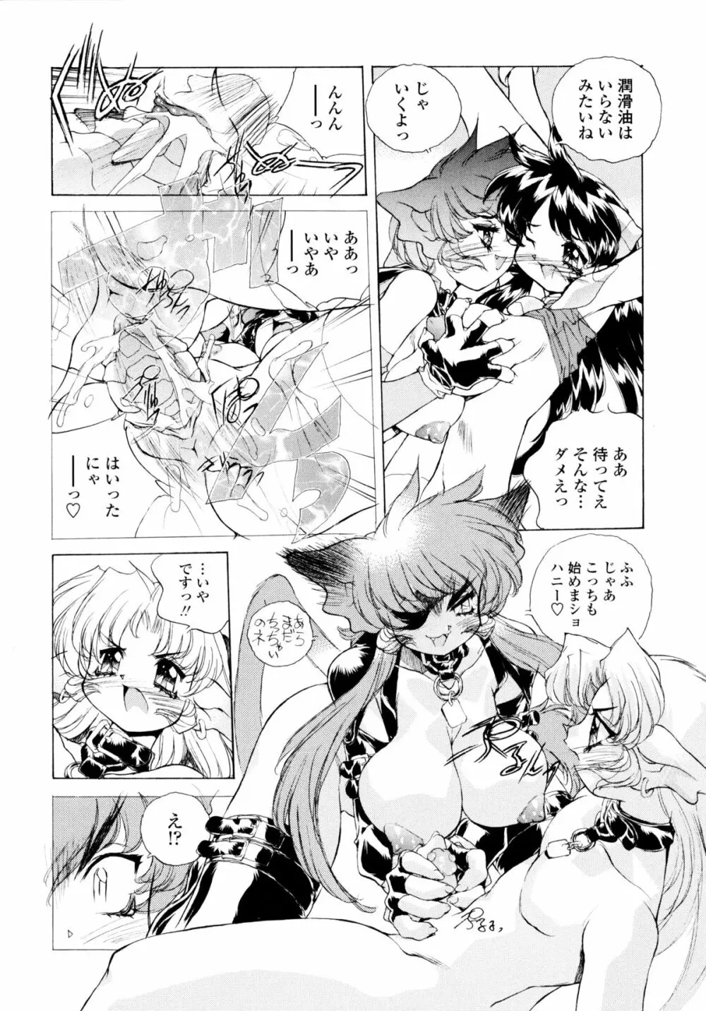 ワイルドキャットパイレーツ Page.57