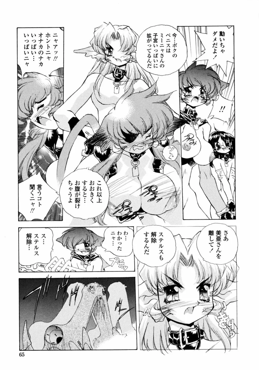 ワイルドキャットパイレーツ Page.64