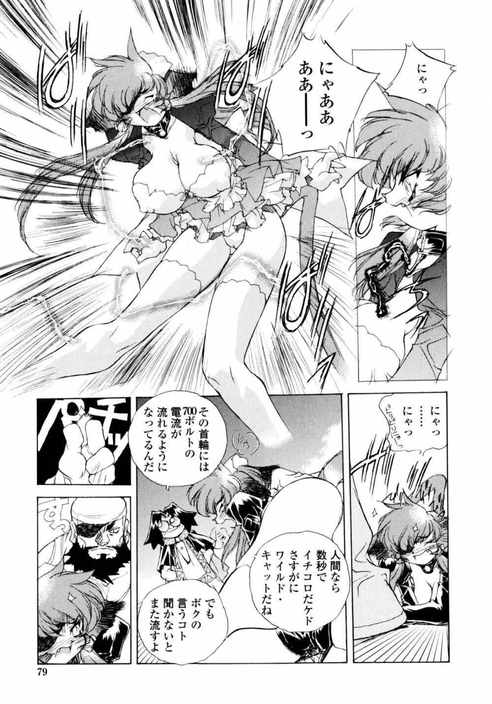 ワイルドキャットパイレーツ Page.78