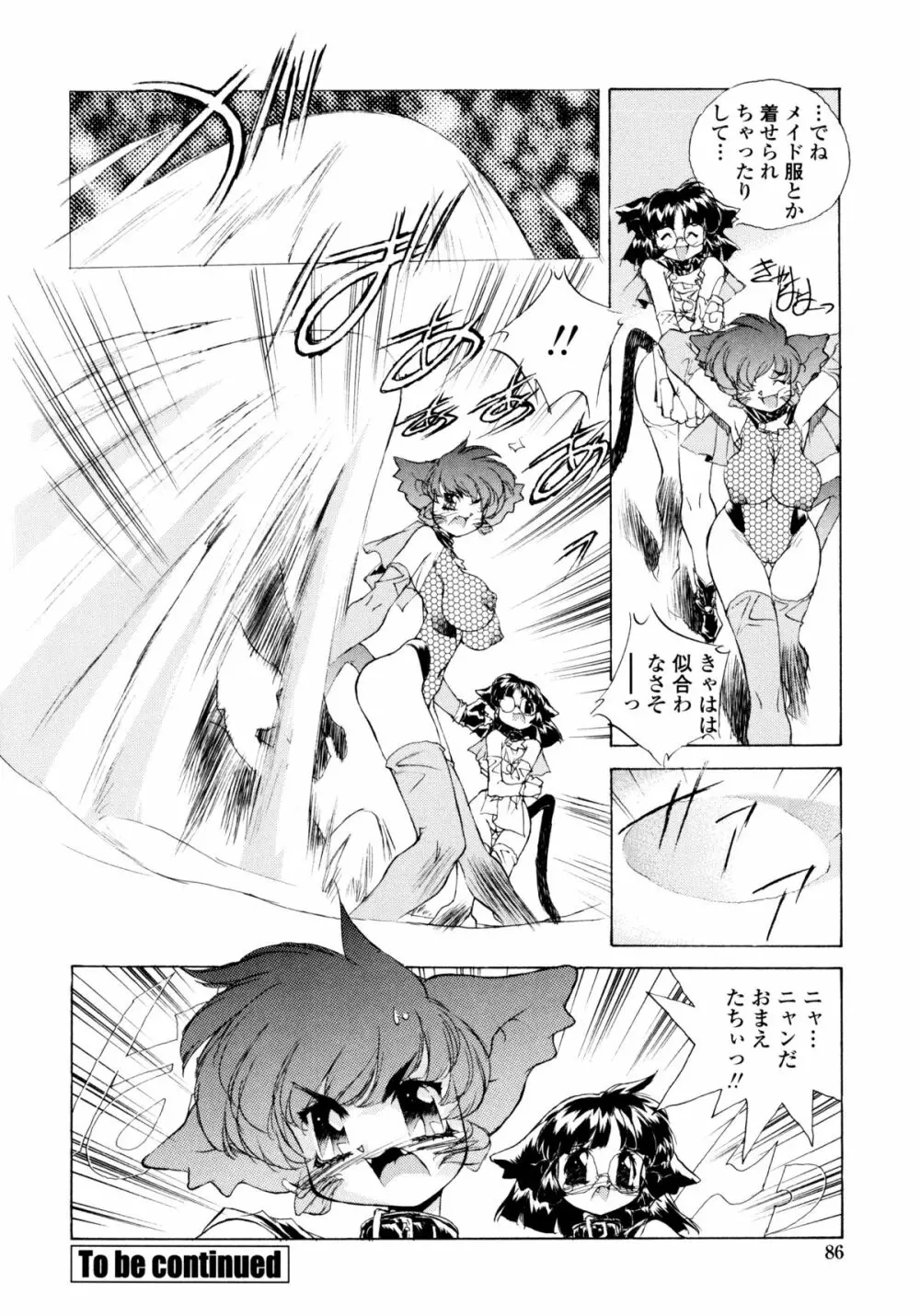 ワイルドキャットパイレーツ Page.85