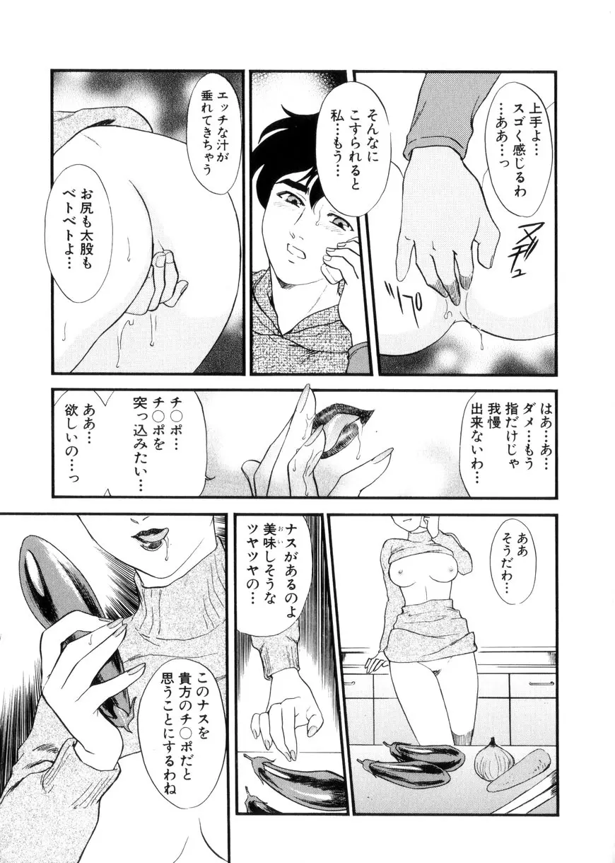 人妻模様3 乱れ妻 Page.145