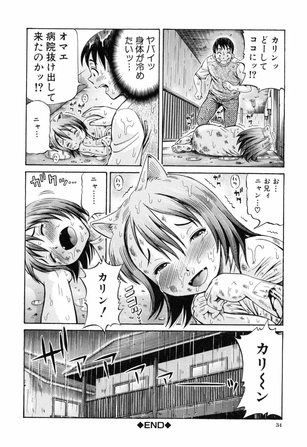 妊娠パラドックス Page.37