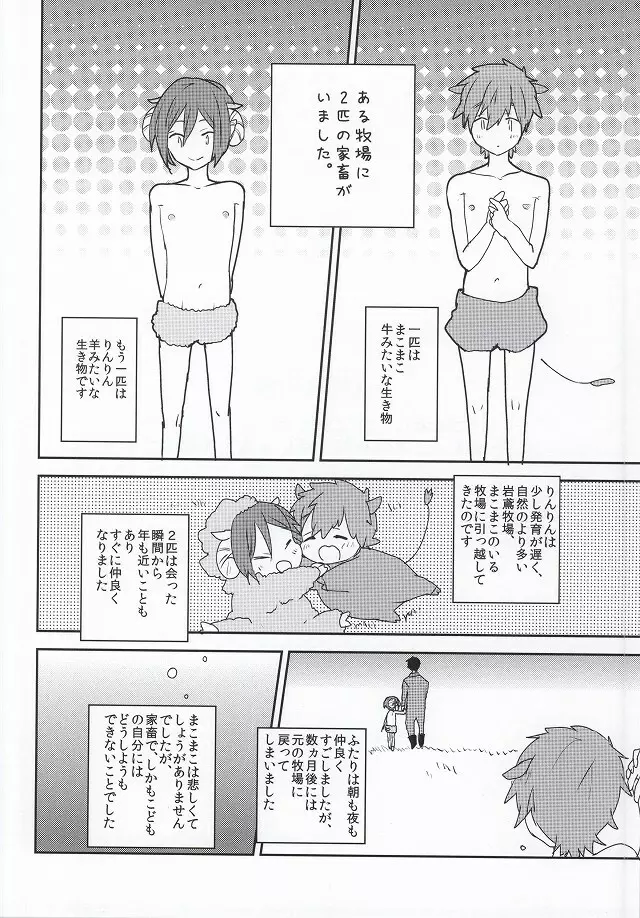 カチクノコイ Page.2