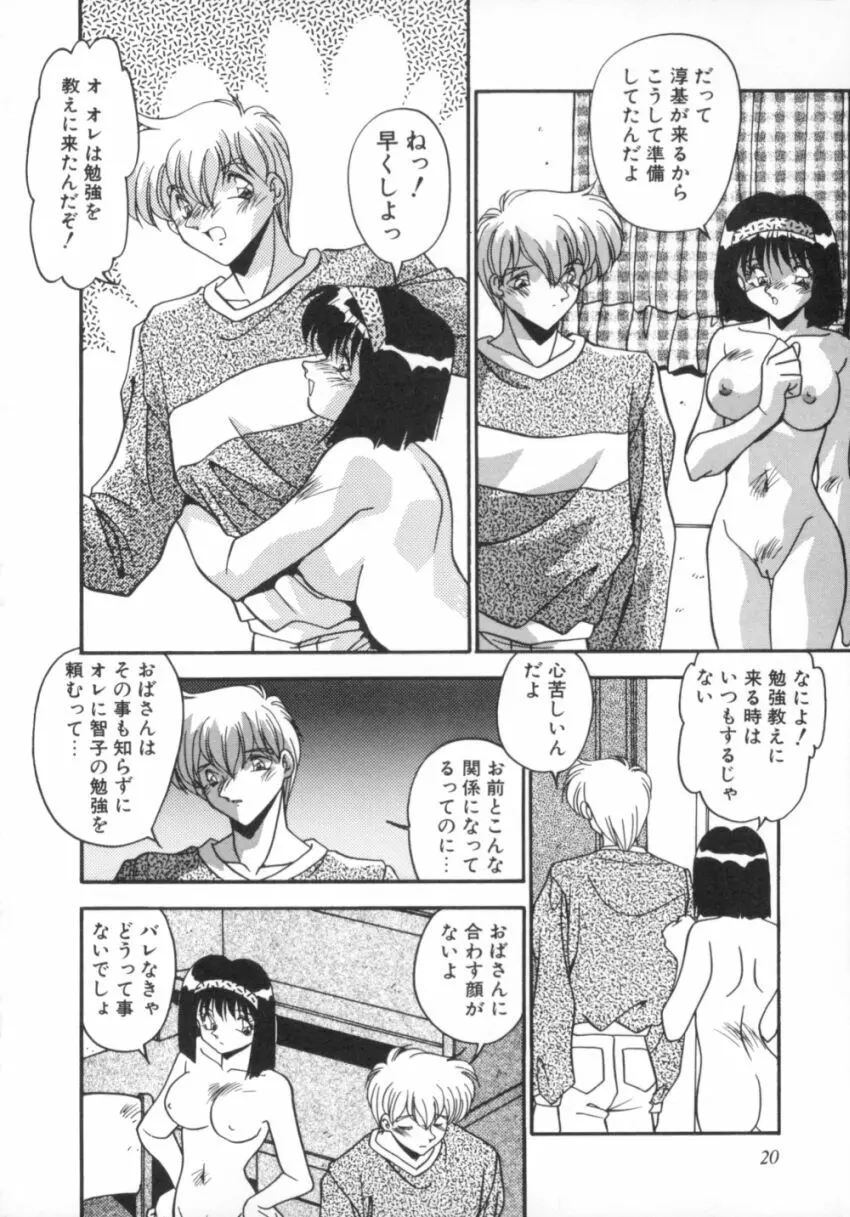 気分はビビデバビデブ Page.25