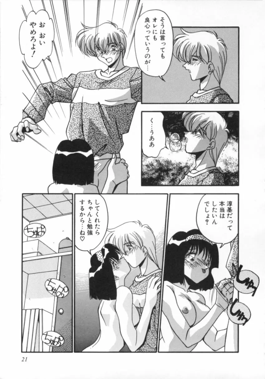 気分はビビデバビデブ Page.26