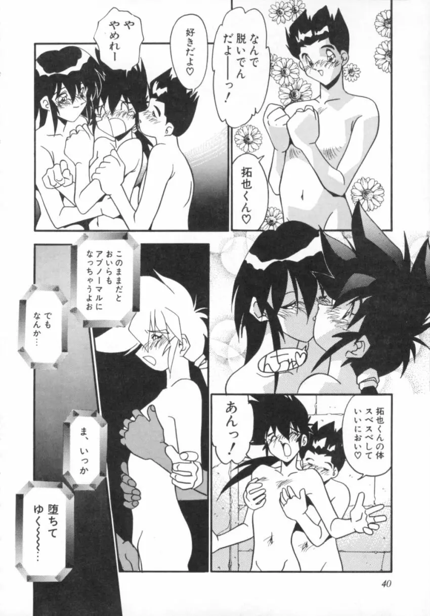 気分はビビデバビデブ Page.45