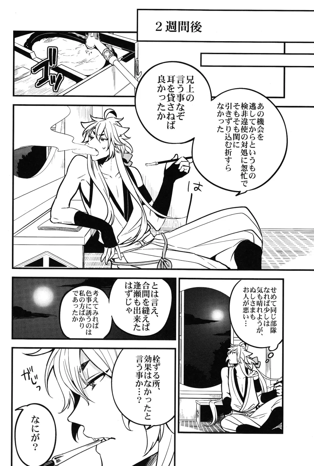 梅花空木 Page.17