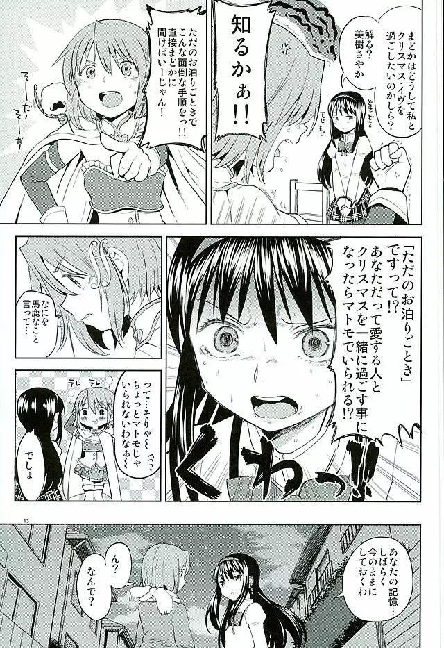 ほんの一世紀だけわたしの銀の庭 Page.14