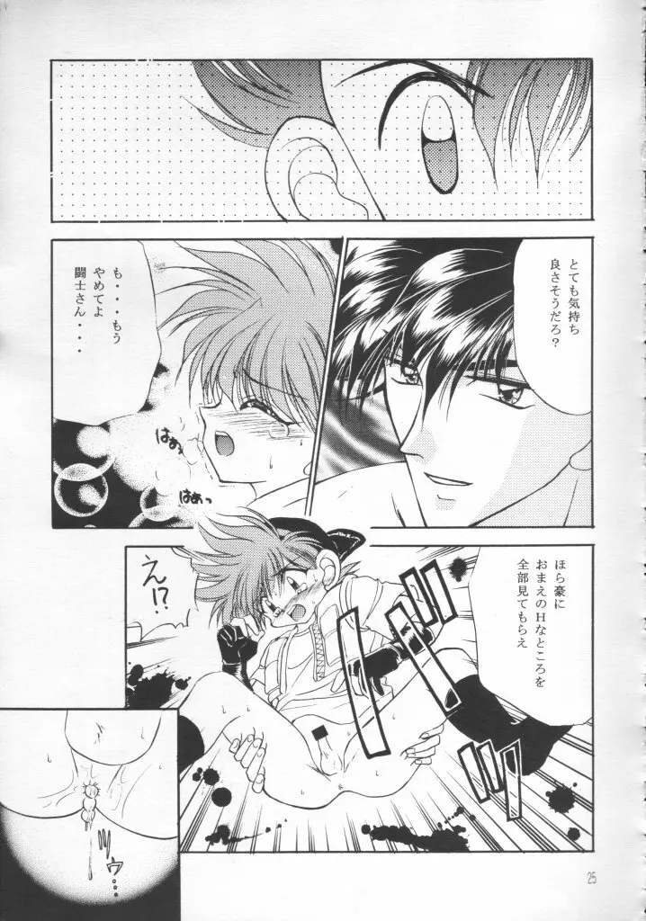 なんかヘンだぞっミニ四ファイター!! Page.24