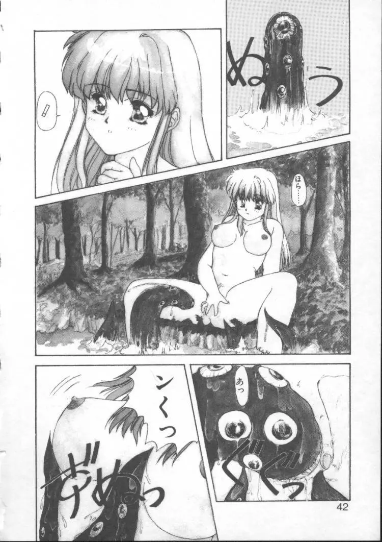 Fairy Counter Page.40