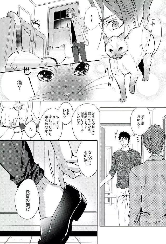 我が家のにゃんこ様 Page.7