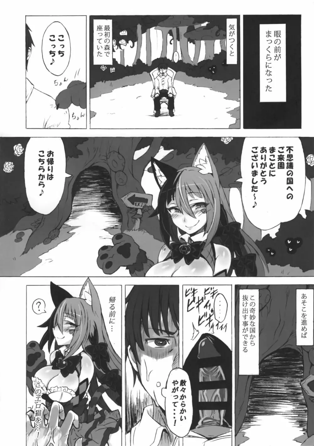 魔物娘図鑑・被害報告 ～チェシャ猫のおいでませ不思議の国～ Page.19