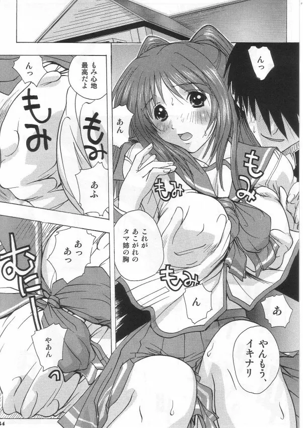 タマ姉&このみ Page.33