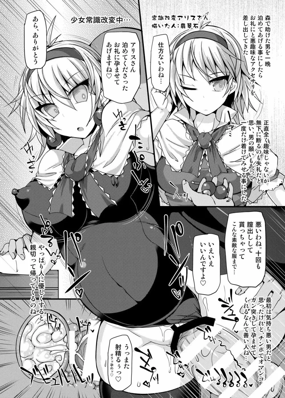 催眠♥マイペット東方アリス・マーガトロイド Page.18