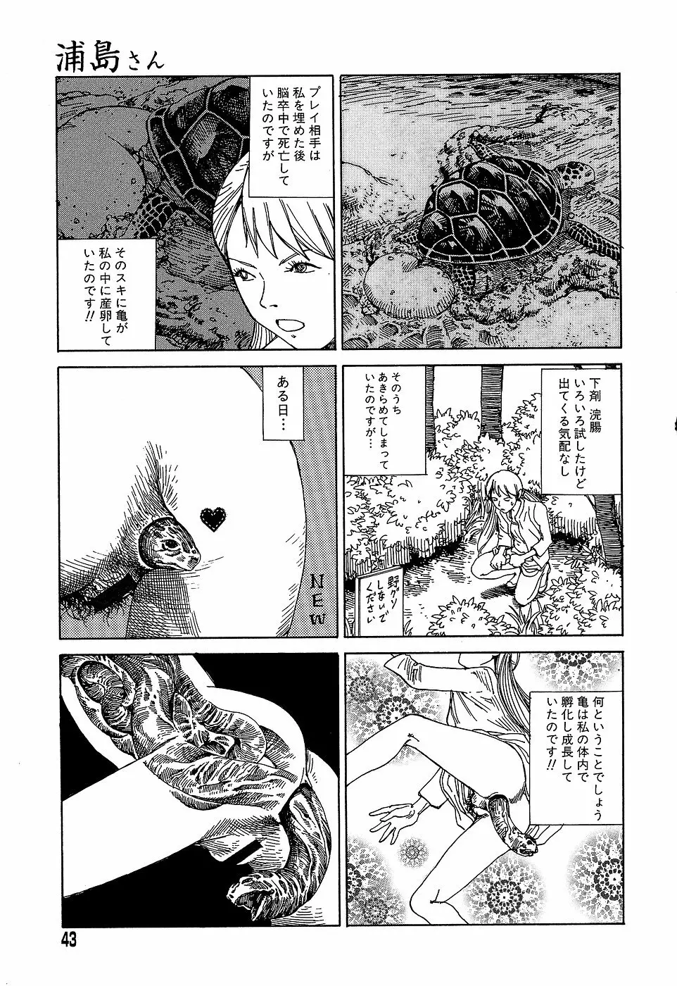 夢のおもちゃ工場 Page.43