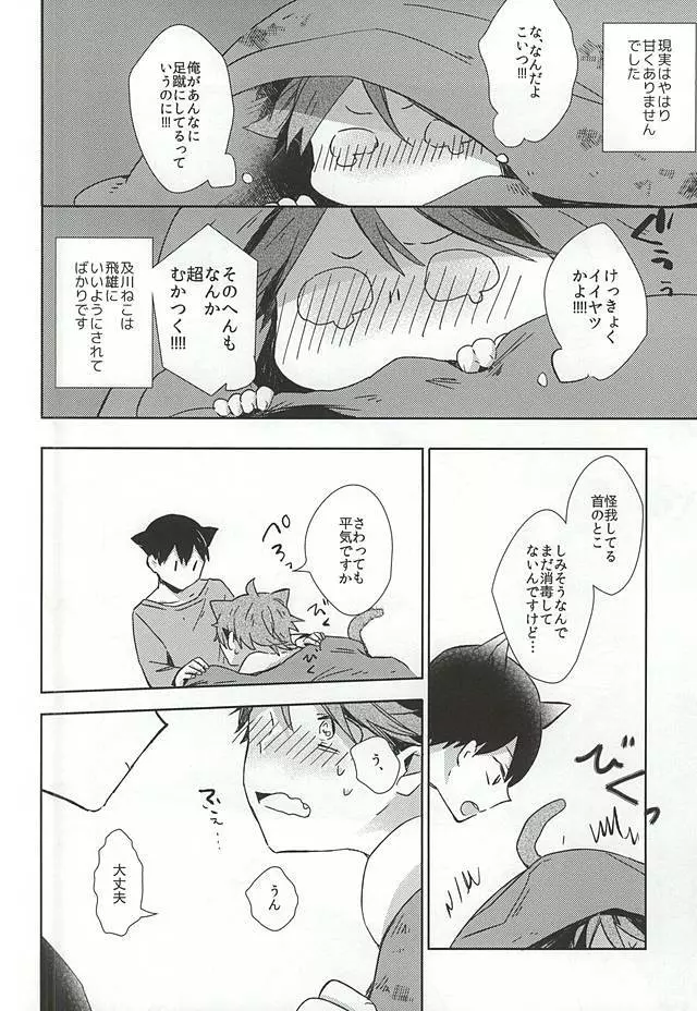 猫になった及川さん Page.17