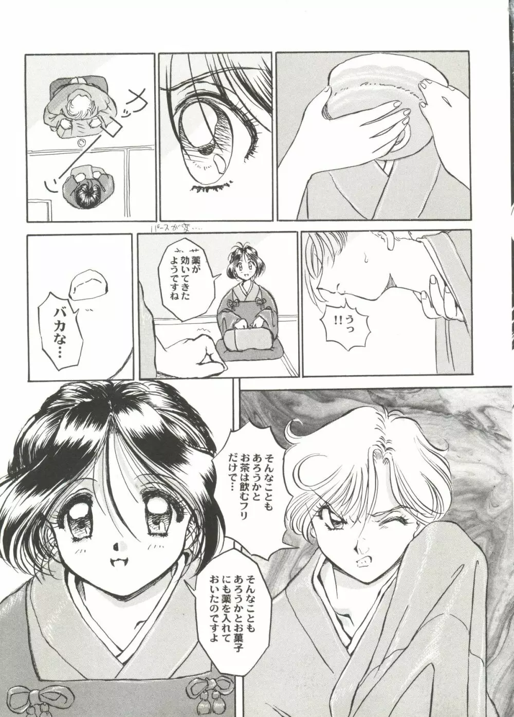 アニパロ美姫3 Page.43