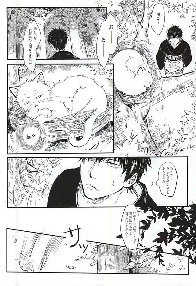 Silver Dream Page.5
