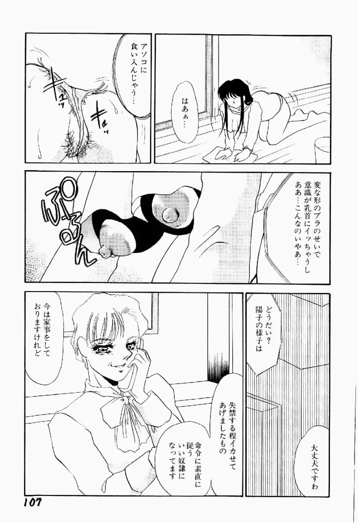 異端の快楽 第2巻 Page.108