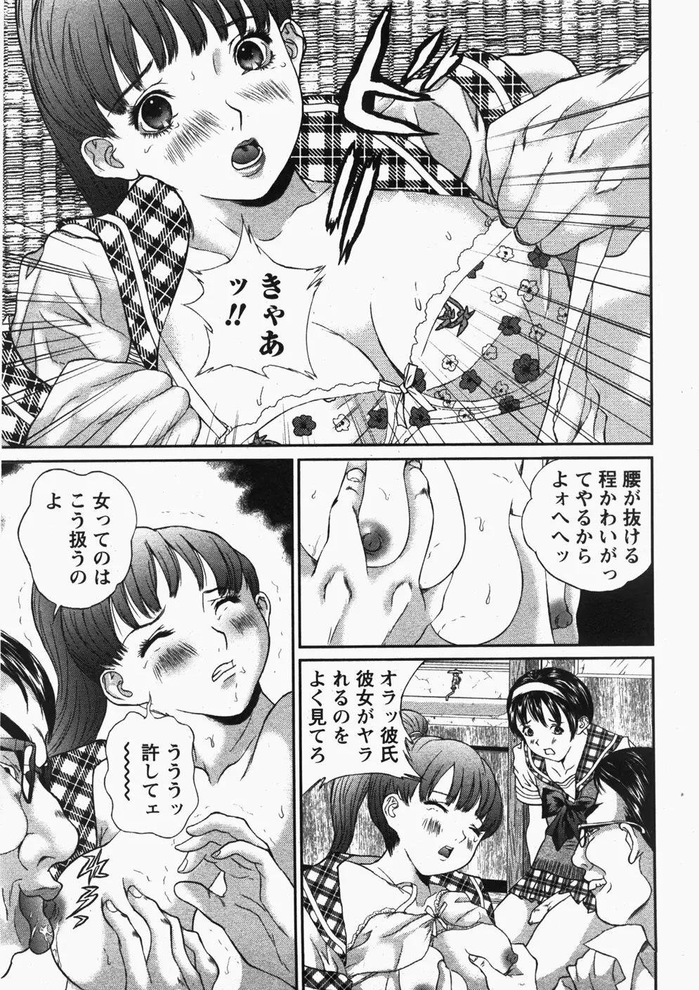 Comic Hime Dorobou 2007-11 Page.245