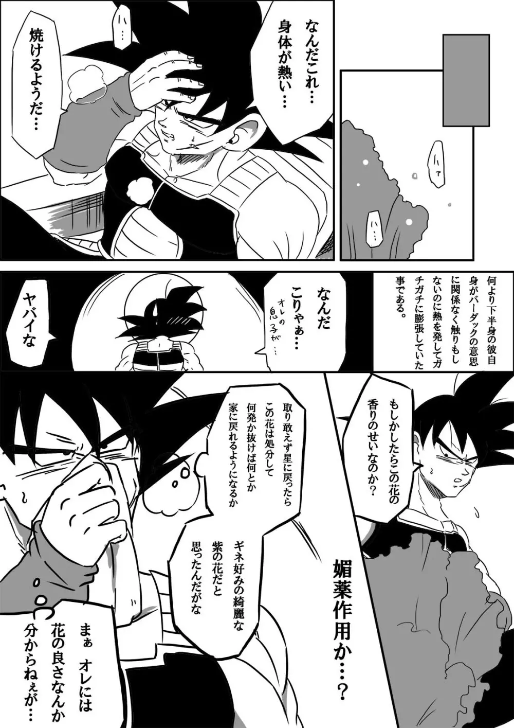 魅惑の華 Page.4